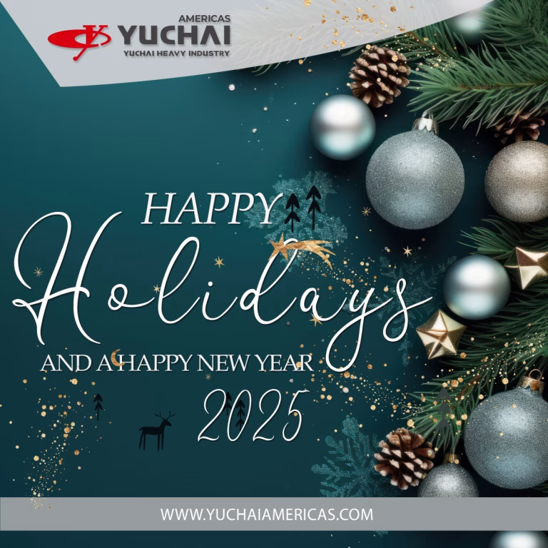 ☃🎄🌟 HAPPY HOLIDAYS and A LOVELY NEW YEAR 🌟🎄☃